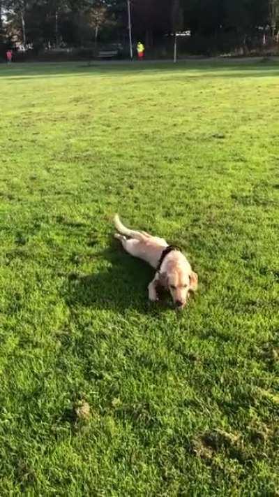This is how we enjoy the freshly cut grass...