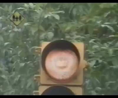 Luchemos por la Vida: Segunda entrega de la campaña del Rap Precaución dedicada a las Bicicletas (1995)