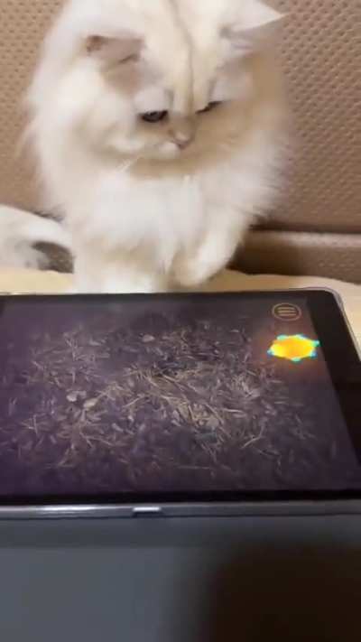 Pro gamer detected...😎