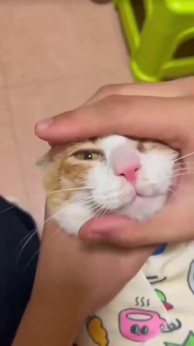 Straight up jorkin it