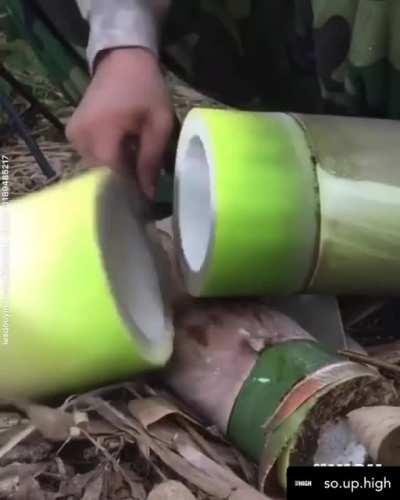I don't think we've seen bamboo being cut before