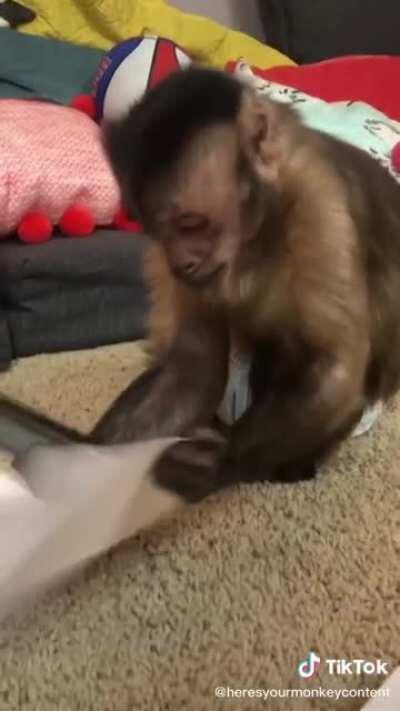 Trying to play harmonica