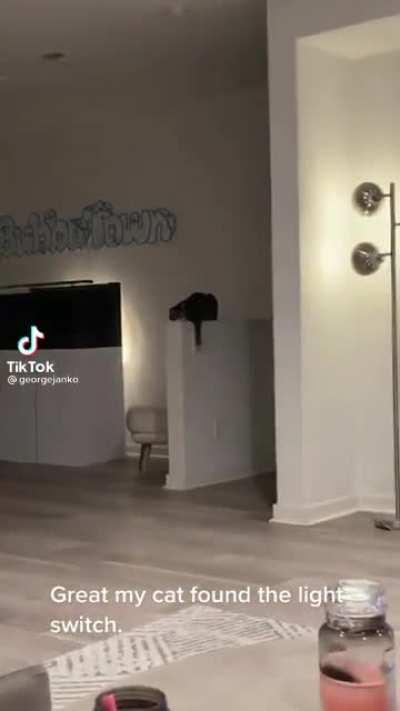 Great... my cat found the light switch.