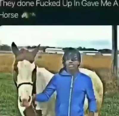 What the horse doing