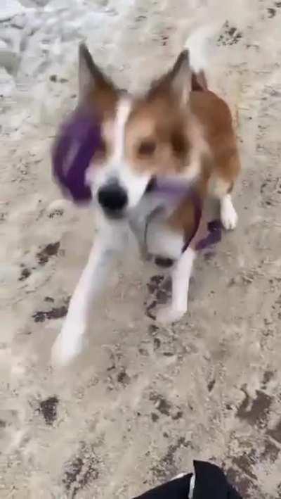 “better not drop that again”