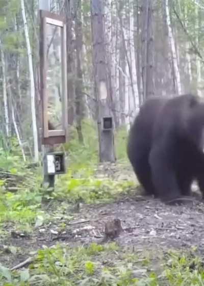 Bers watching their portfolio like