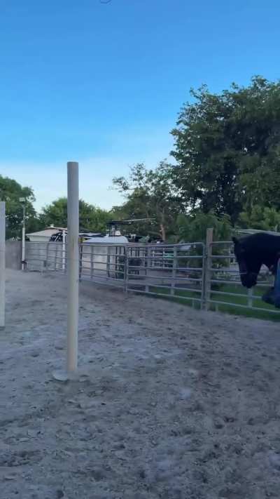 What a Horse Riding by Amber Ajmai 😛