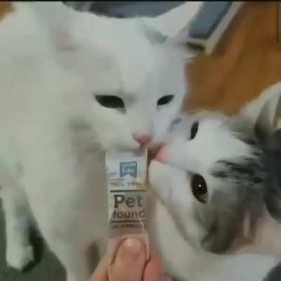 comer juntos nn era como eu imaginava