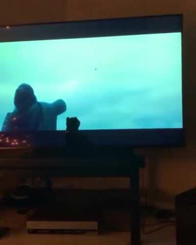 Fine addition to my collection