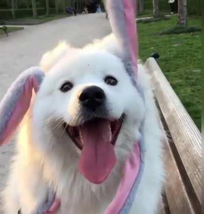 Nothing but joy to see here