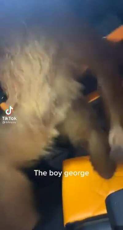 Apes getting into their Tesla’s after the squeeze