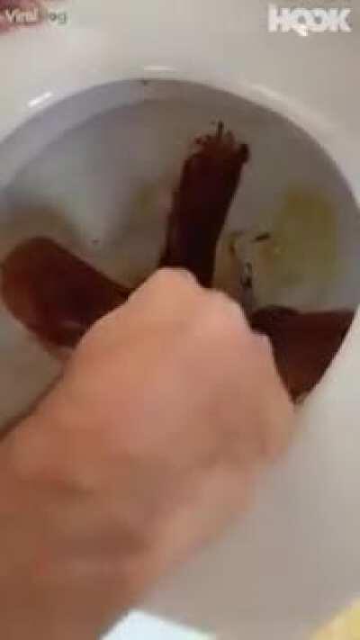 Thanks, I HATE restaurant toilet bowl dessert... good god.