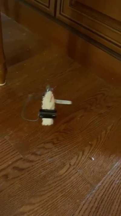 I couldn’t get a Roomba so I made my own