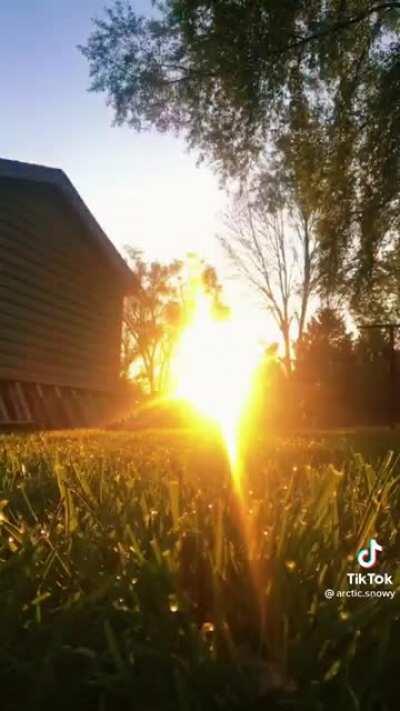 Saw this over on r/Cringetopia and thought of you tiktoks... not my content OP in post.