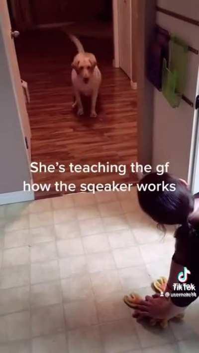 squeak slammywhammy squeak