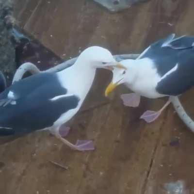 Пути. Пути, гаварю