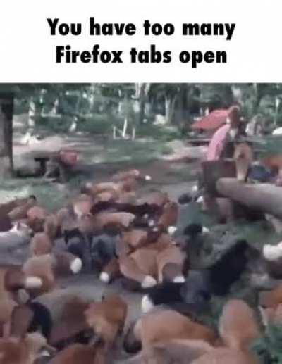 Haha funni fox gif on discord