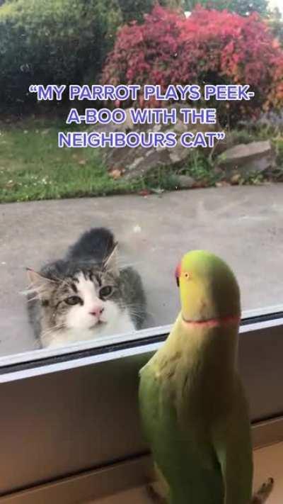 Indian redneck playing peekaboo