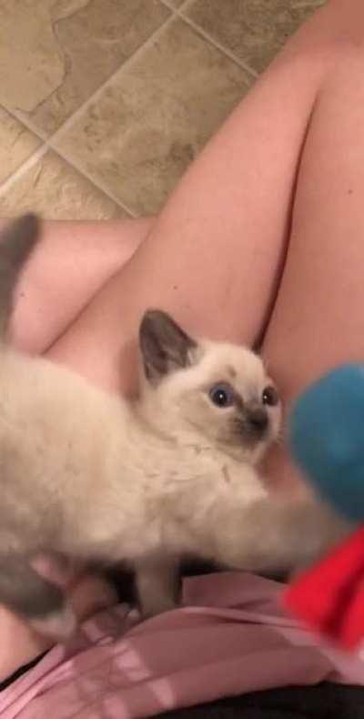 When she first learned about her liquid properties