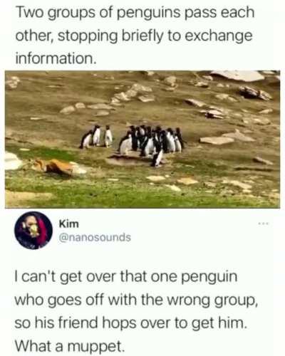 Somebody got confused