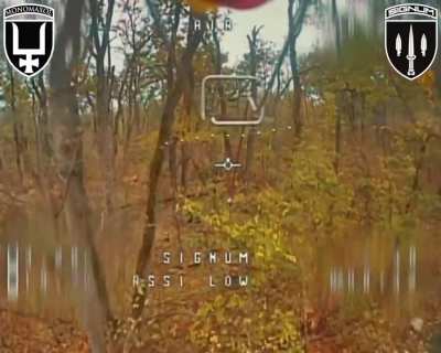 Ukrainian fiber-optic FPV drones struck Russian soldiers and equipment in the Lyman direction. SIGNUM BATTALION. Published 28.11.2025