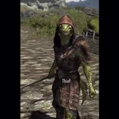 POV: Skyrim Theif