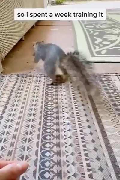 A son and mother caring for a squirrel