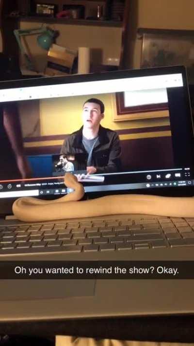 Gosh, kids these days are so tech savy!