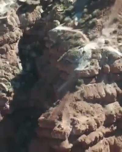 Serious mountain biking skills