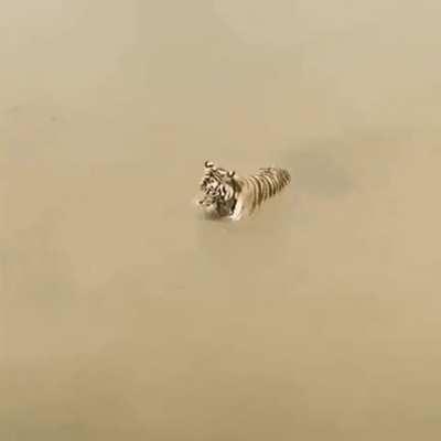 The tactic is excellent