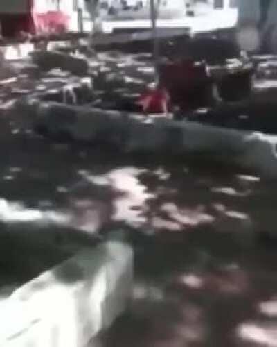 WCGW WHEN YOU TRY TO HELP