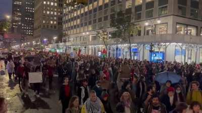 Massive rally for Palestine in Manhattan last night