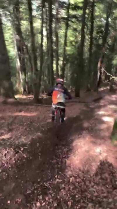 He meant to do that!