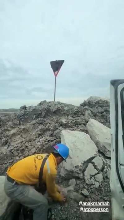 Messing with someone wasps