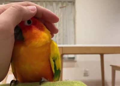 People are friends. Not food.