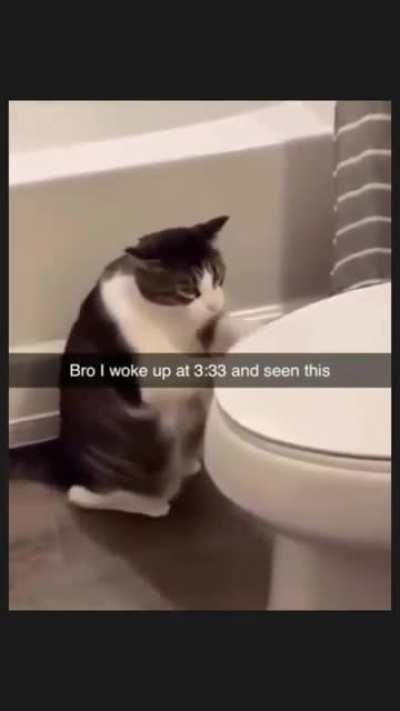 Проснулся в полчетвёртого от вот этого всего.