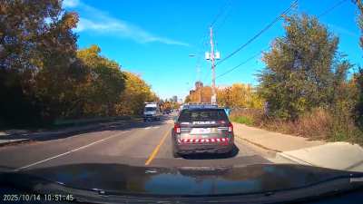 Pigs can’t fly, and they can’t drive either