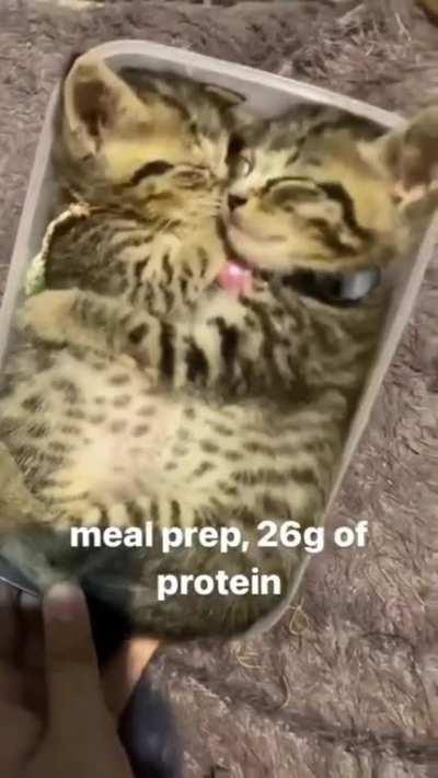 Yummy baby eating 😋 I mean rule