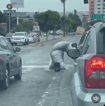 Tubeicus, the Pipe Dancer of Red Lights!