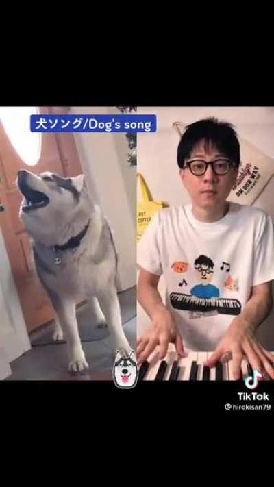 Brilliant husky concerto. It's a banger! (Didn't find this here, sorry if I missed it).