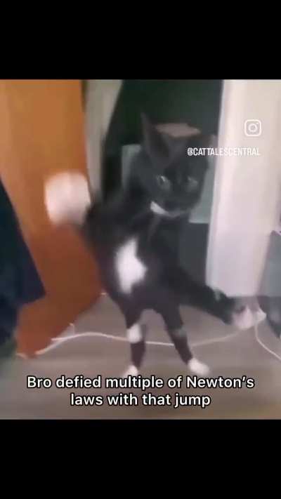 car doesnt defy wunktons laws of physics