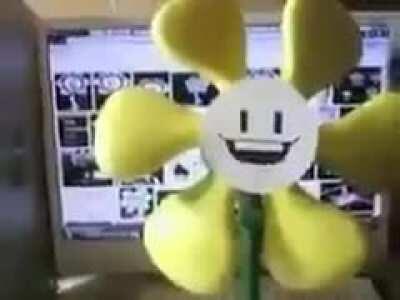 flowey go n y o o m