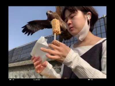 The Birds (2025): Official Teaser