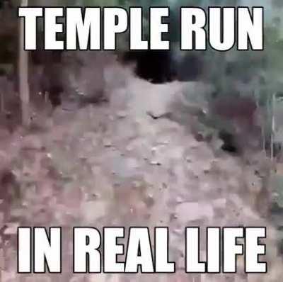 THEY MADE A REAL GAMEF ROM THIS