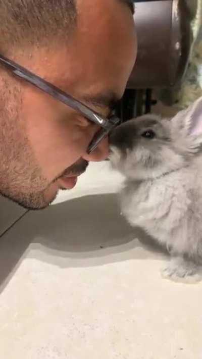 After 2 months in the fam, he is finally giving us bunny kisses!
