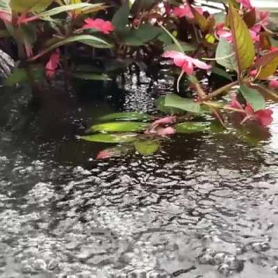 Don’t go chasing....