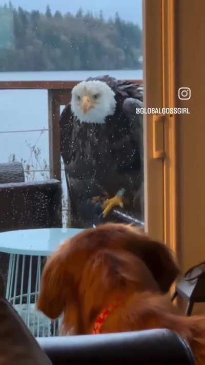 They've been visited by the Angel of Freedom.