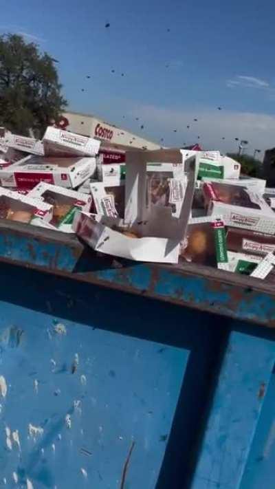 Dumpster full of Krispy Kreme’s ~ I had to stop and open boxes for them