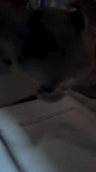 Glad he didn‘t overreact