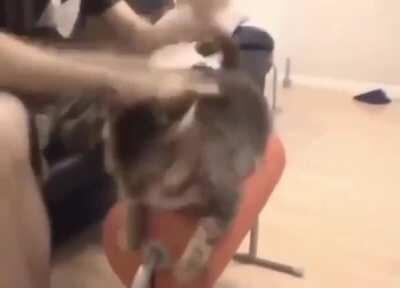 made it past a week witout hurting myself!!!!! it's also week two without having any contact with anyone outside of my house so yea!!!